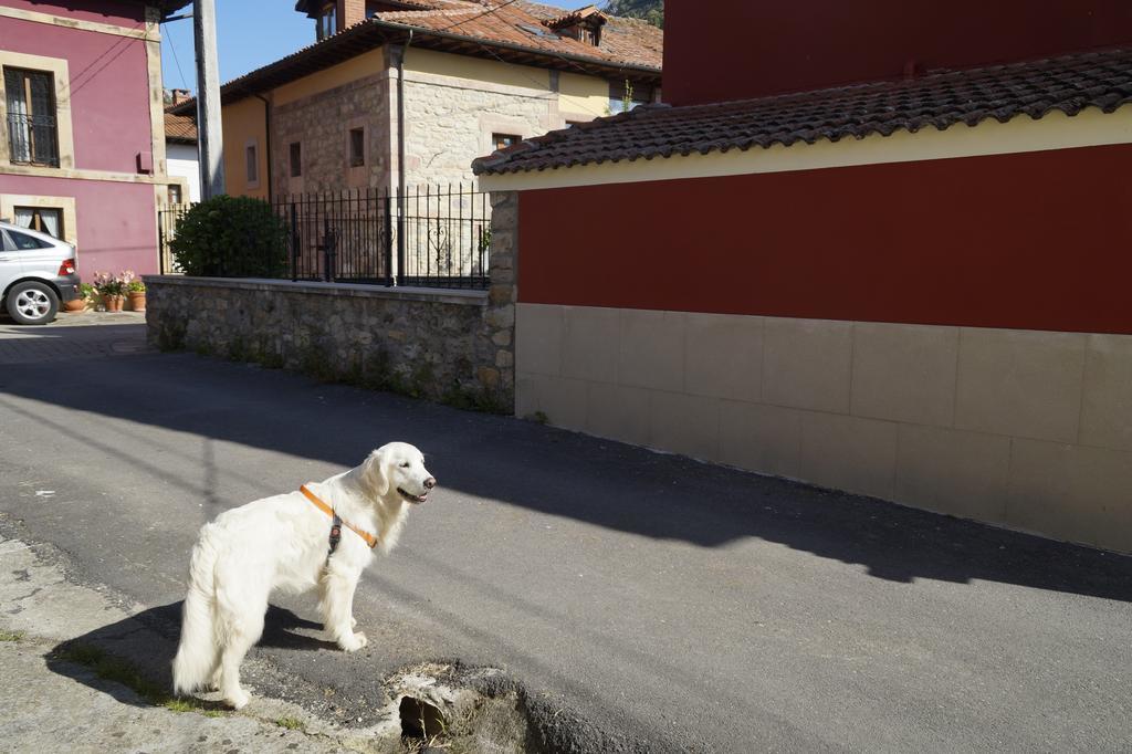 Villa Casa De Aldea El Sol Poo  Esterno foto